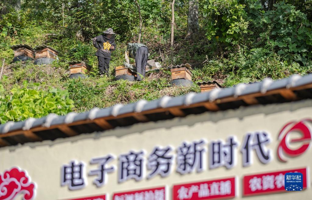 澳门最火平台